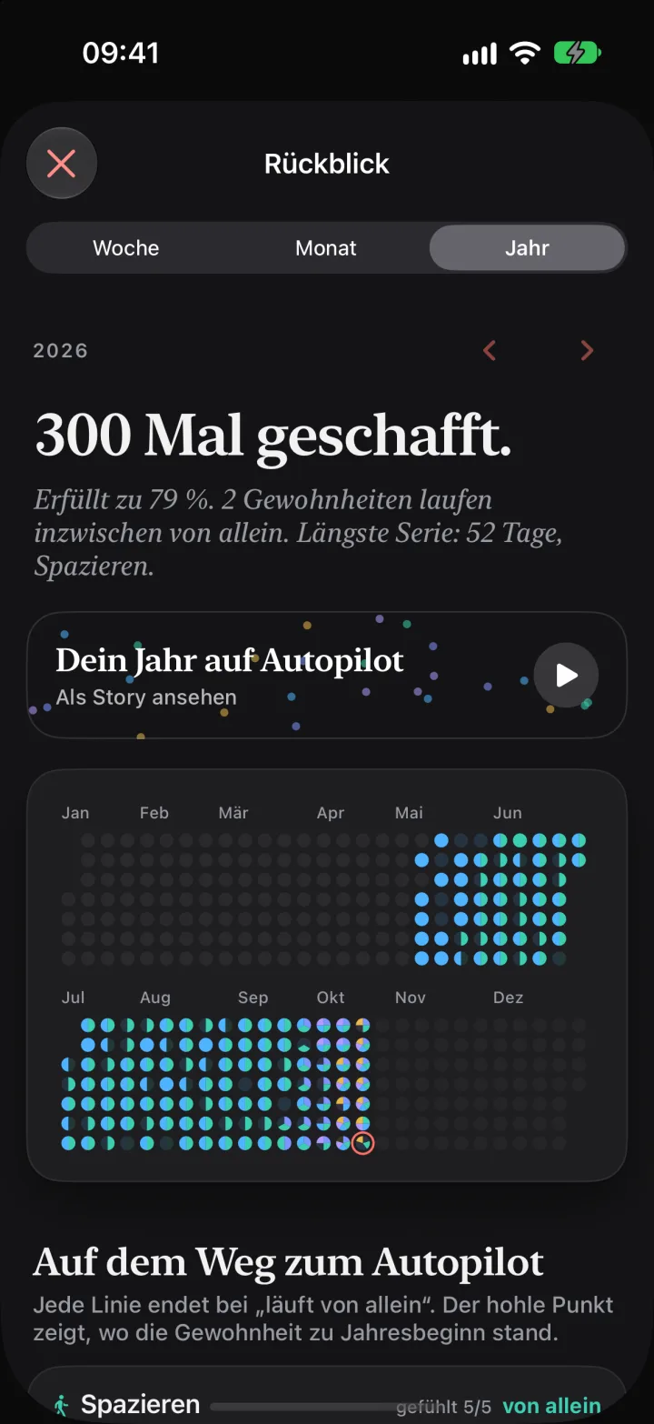 Der Jahresrückblick mit dem Raster aller Gewohnheiten